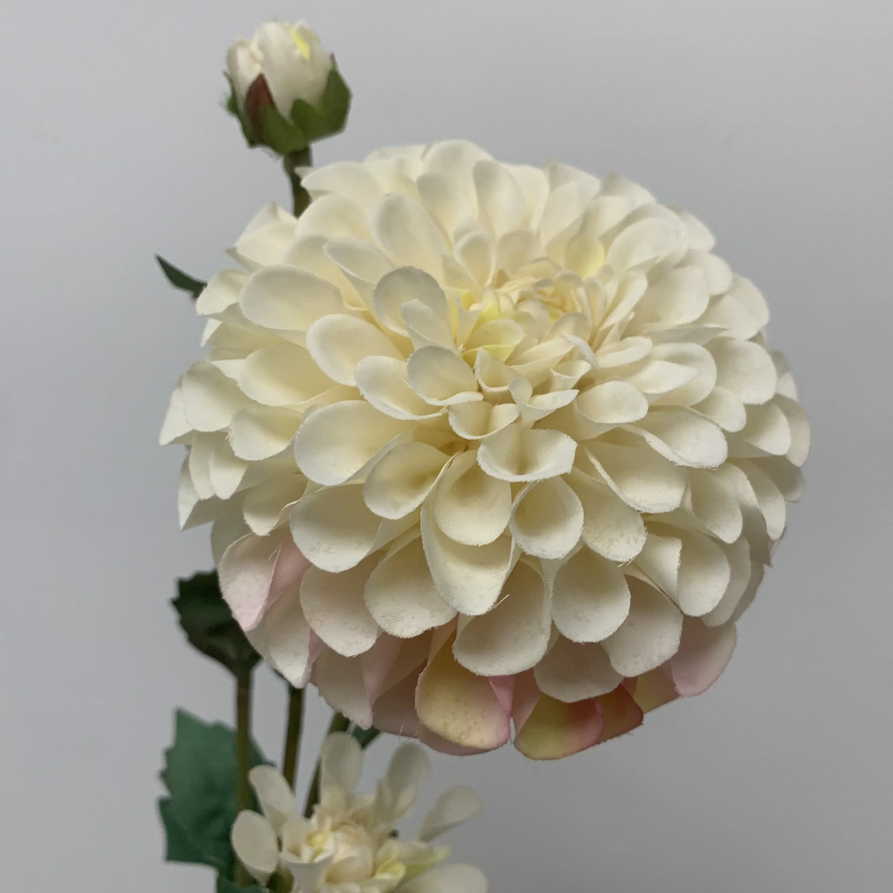 Großhandel Seide Dahlie Blumen Große Köpfe Blumen Langer Stiel Rosa Blumen Kopf Dahlie Für Home Decoration