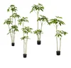 Green New multi-rod large leaf umbrella