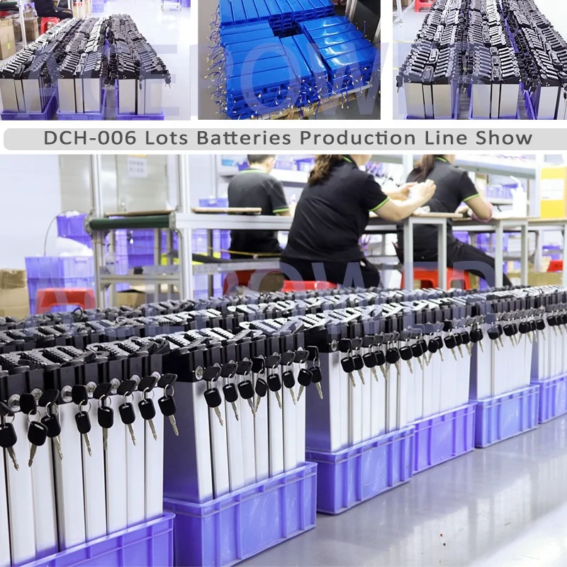 Китайские фабрики литиевые батареи 48 В 20 дюймов 10