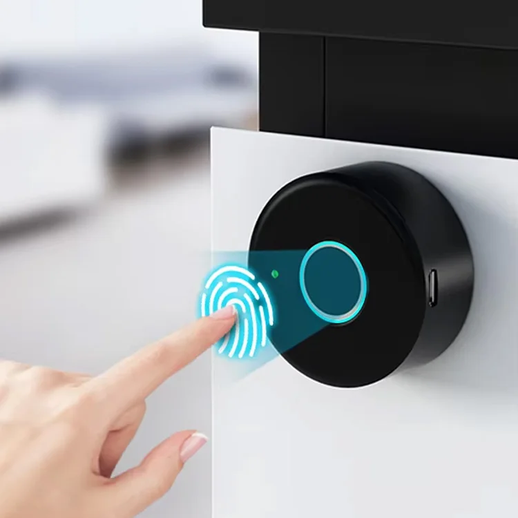 Tediton Tuya App Smart Cabinet Biometric Locks for Lockers Fingerprint Locker Lock With Usb Charging Black