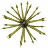 Verde dell'esercito