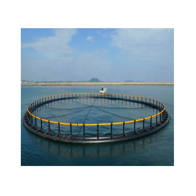 HDPE Pipe Floating Fish Farming Cage with Handrail - China Fish Cage with  Handrail, Fish Farming Cage