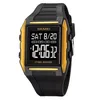 2 Gold Case Black Dial