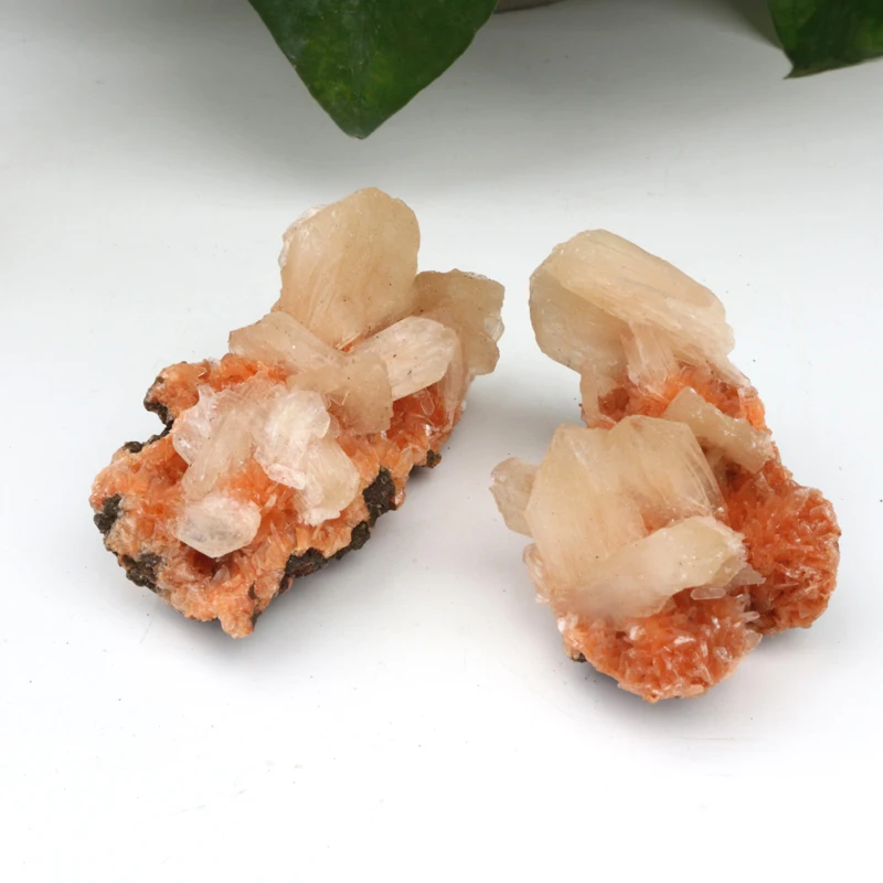 アポフィライト クラスター B 高品質]インド産アポフィライトクラスター/結晶原石（スティル