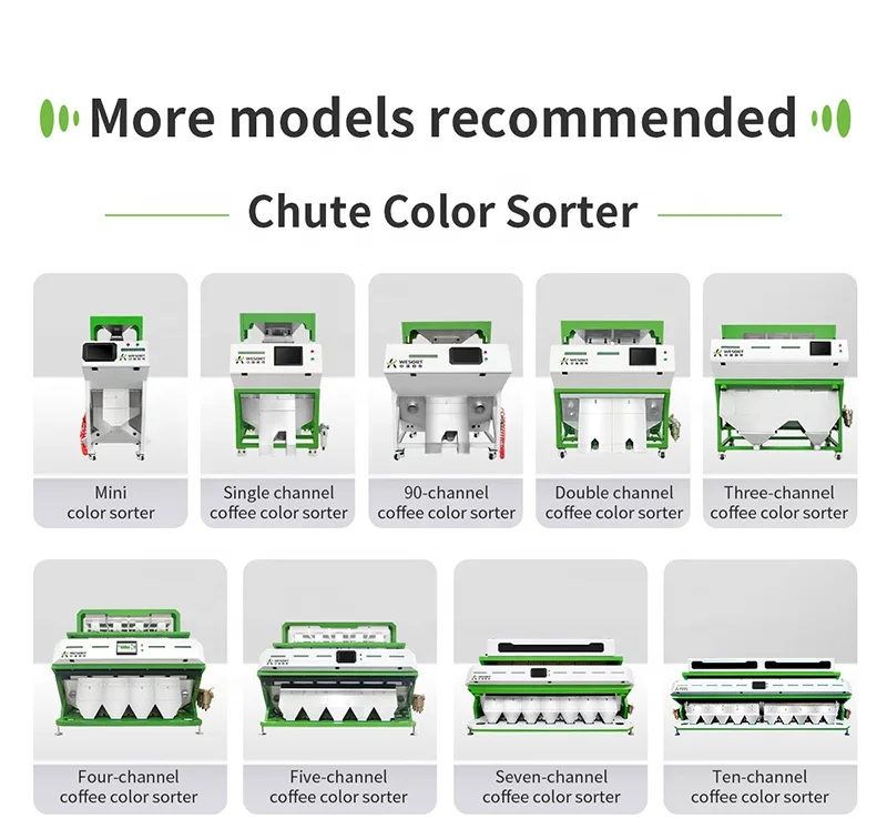 Wesort Automatic Green Coffee Bean Color Sorter Optical Cocoa Beans Sorting Machine with Pump Bearing Supplied Optical Sorter