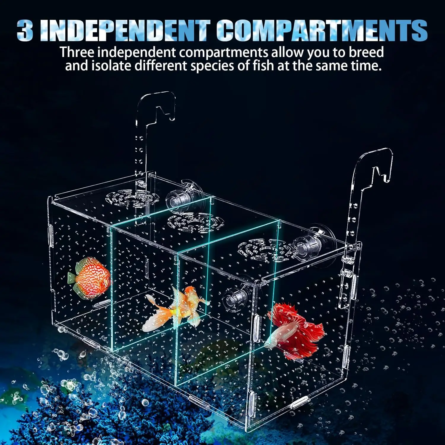 Free Sample Fish Breeding Box Acrylic Fish Aquarium Hatchery Incubator With Suction Cups Fish Accessories Isolation Box