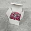 Púrpura