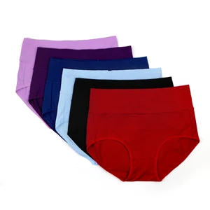 Custom Hot Selling Underwear Briefs Cotton Panties Ladies Plus Size High Cut Underwear Panty for Women
