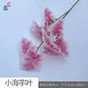 Hojas pequeñas de Lirio de Cala SQD Rosa