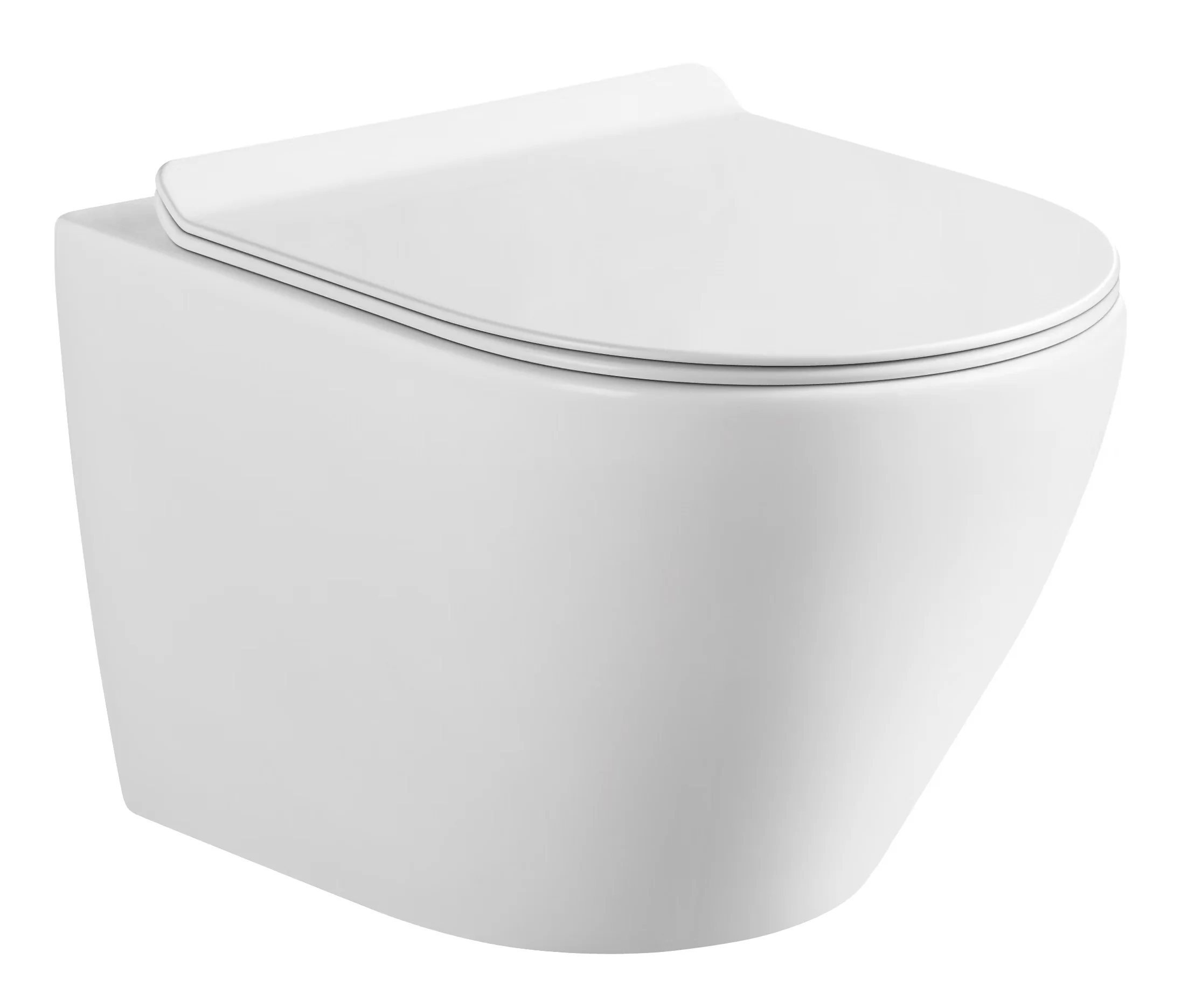 AIDI European Style Modern Bathroom Rimless Round Wall Hung Toilet