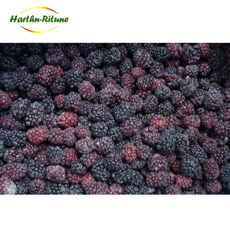 Best Price Fresh Blackberry Fruit