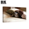D# Style