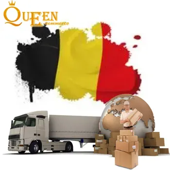 Door-to-Door Trucking Service DDP to Belgium Including Collection Service and Optimized Shipping Methods