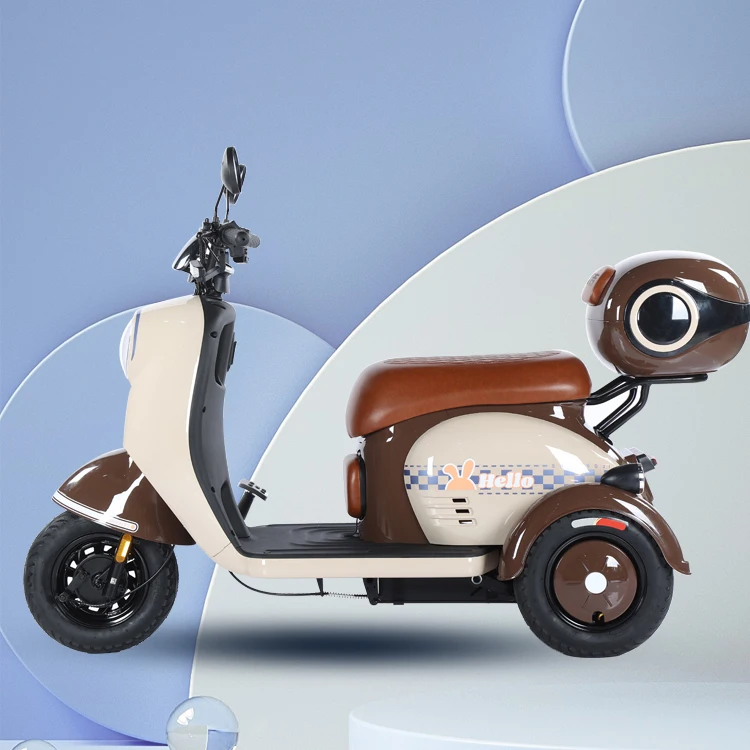 Customizable 800W 3-wheel Electric Tricycle