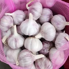 Fresh Natural Wholesale Fresh white Garlic Price,directly supply from plant base