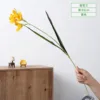 Freesia - Yellow