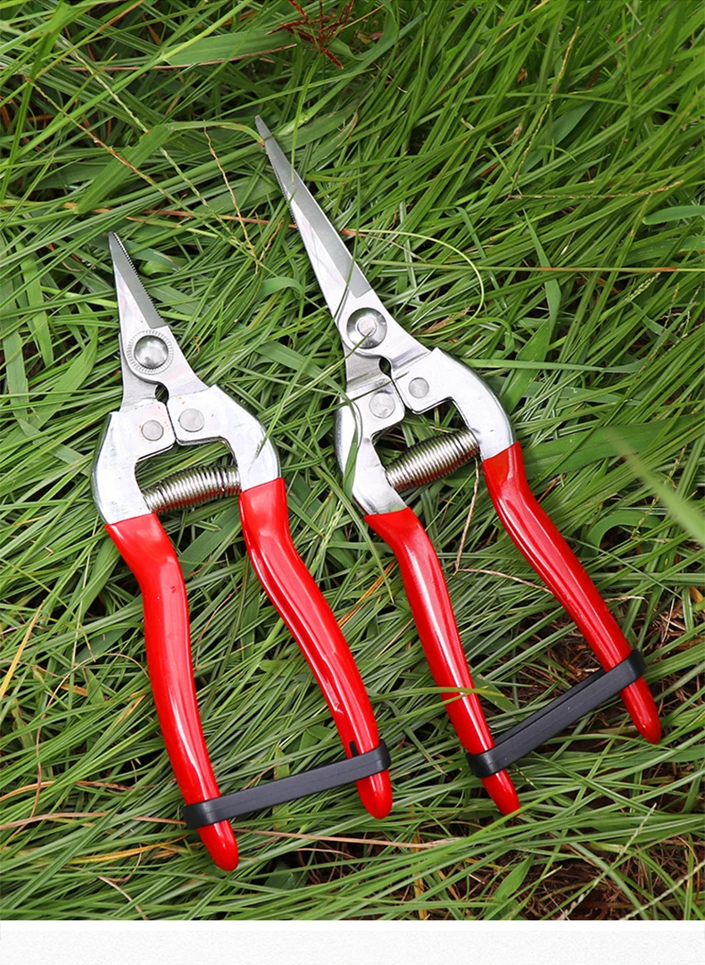 Details about STAINLESS STEEL GARDENING PRUNING SHEARS FRUIT PICKING TRIM WEED BRANCHES TOOLS Details about STAINLESS STEEL GARDENING PRUNING SHEARS FRUIT PICKING TRIM WEED BRANCHES TOOLS