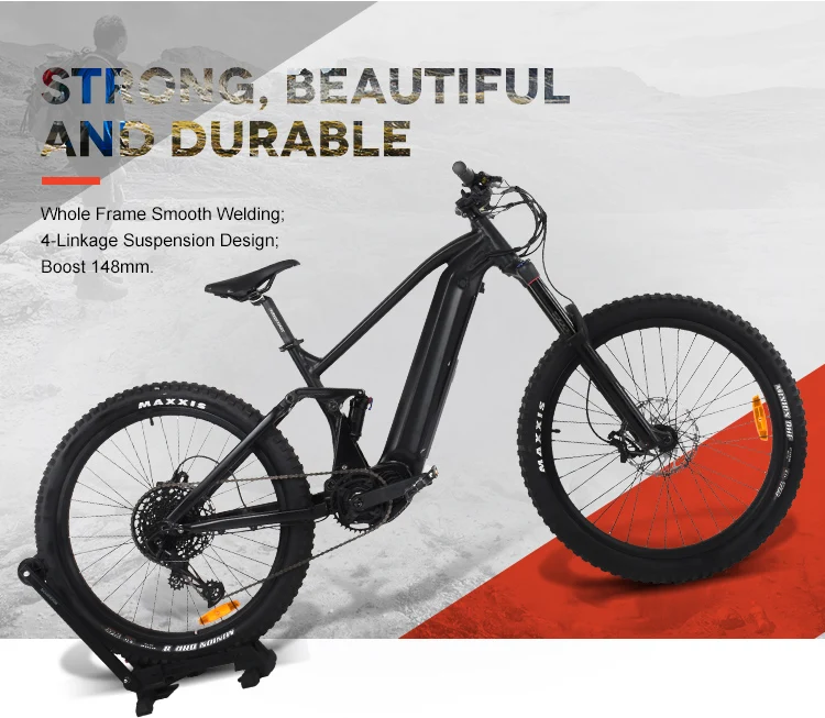 ebike bafang m600