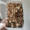 Oro
