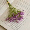 สีม่วง