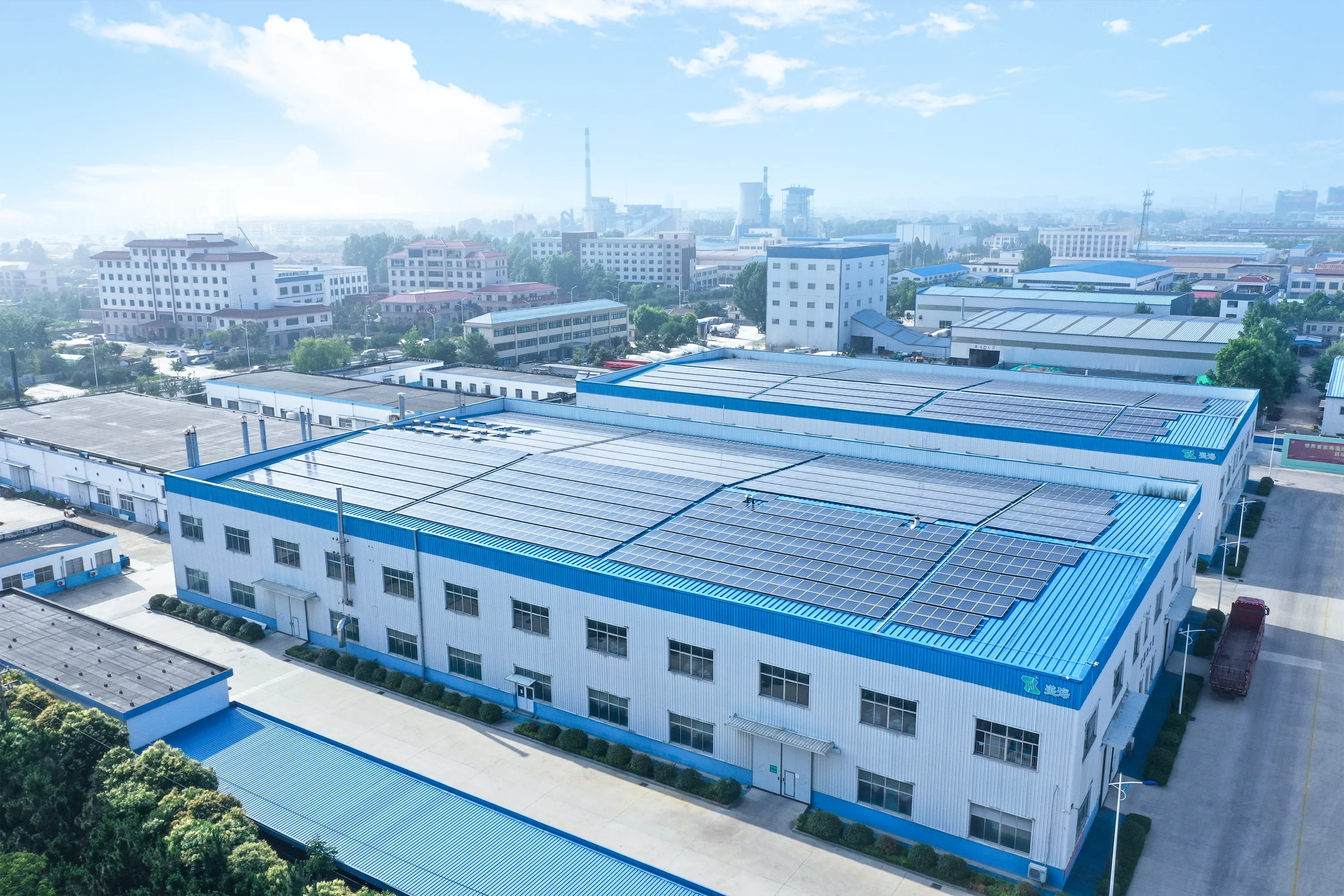 Separated Size 00 Clear Vegetarian Seaweed Vegetable Empty Hard