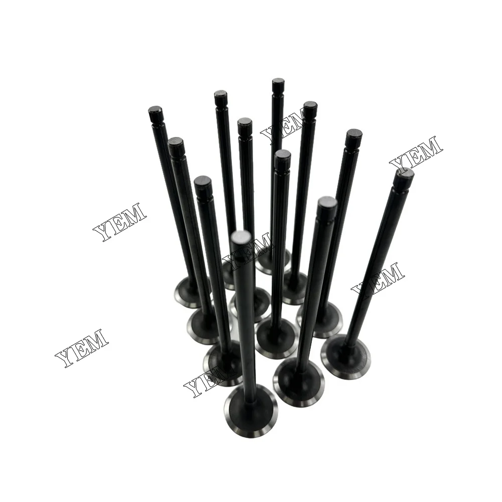 Intake Valve Fit for Hyundai D6CB Engine 2