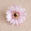 Viola chiaro