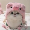 Piggy hat