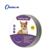 Purple Cat