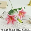 2 flowers and bud - pink