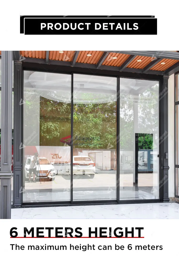 Minimalist House Automatic Sliding Door System / Double Wheels Thermal