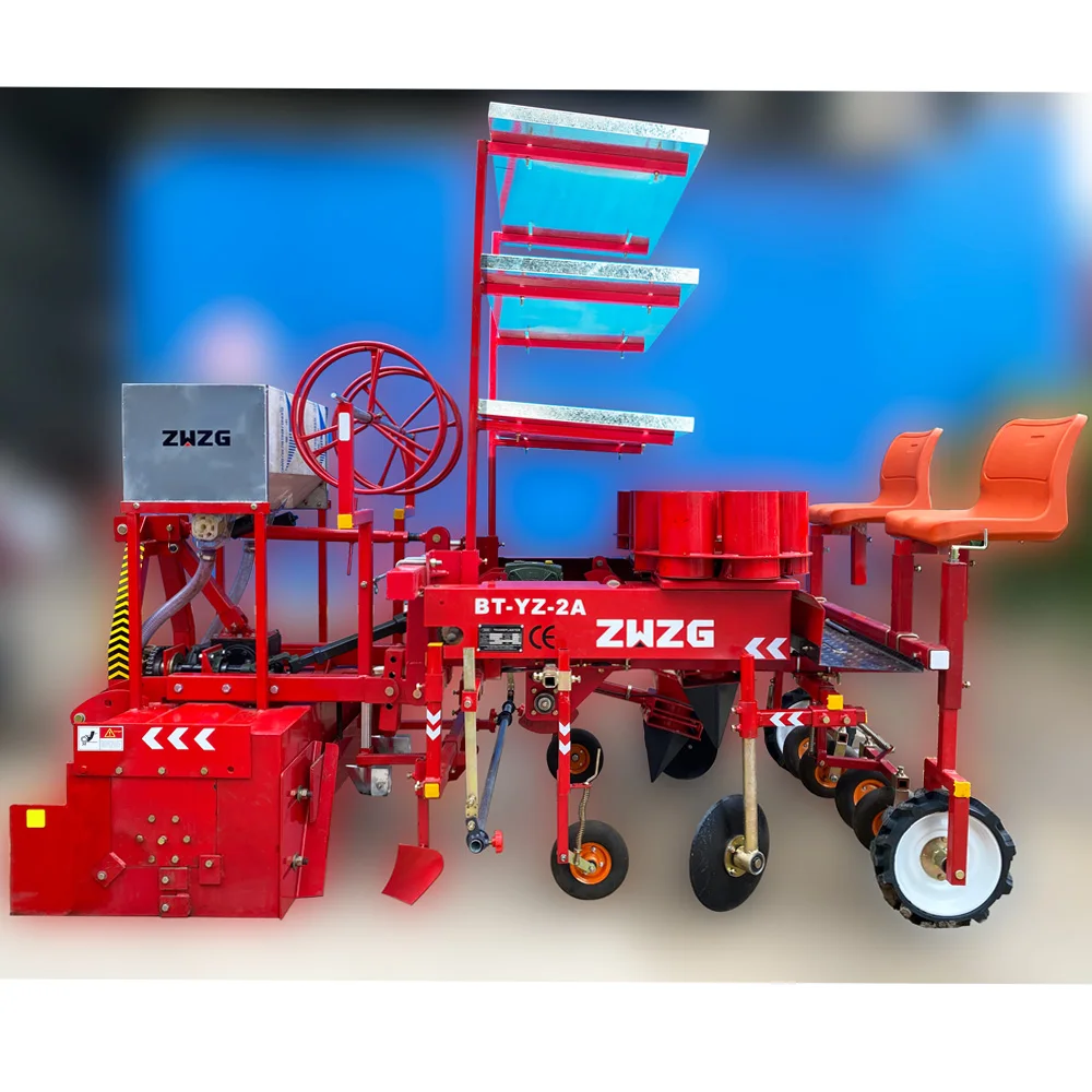 断捨離パイナップル 2個 断捨離パイナップル 2個 断捨離パイナップル 2