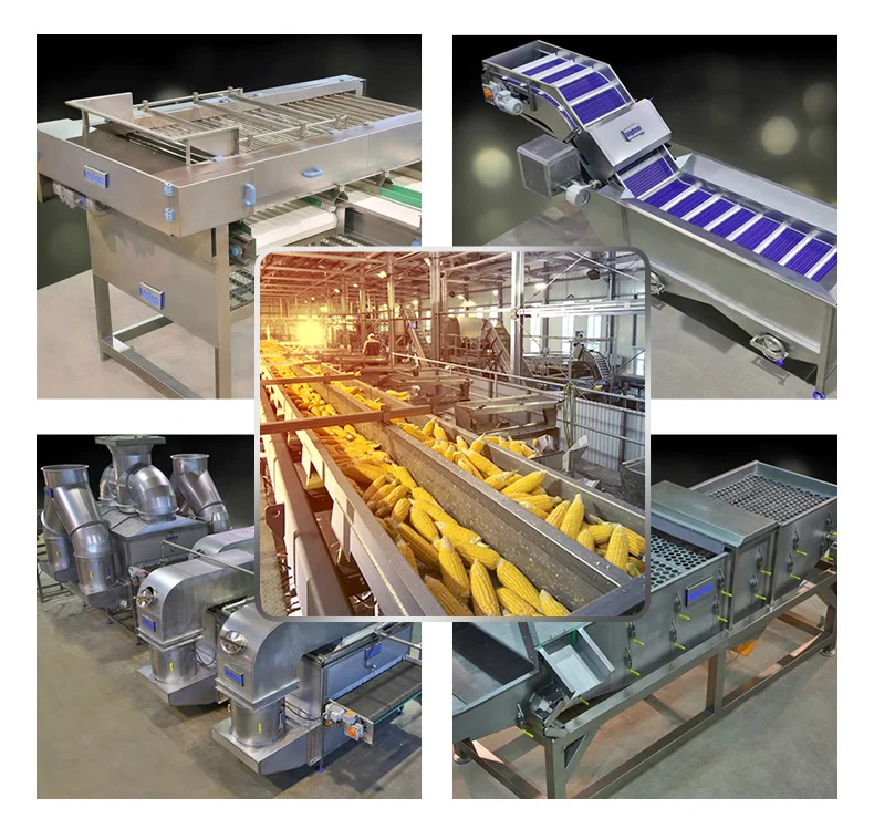 TCA Automatic Tomatoes Snow Peas Vegetable Fruit Cutting Washing Production Line Machine