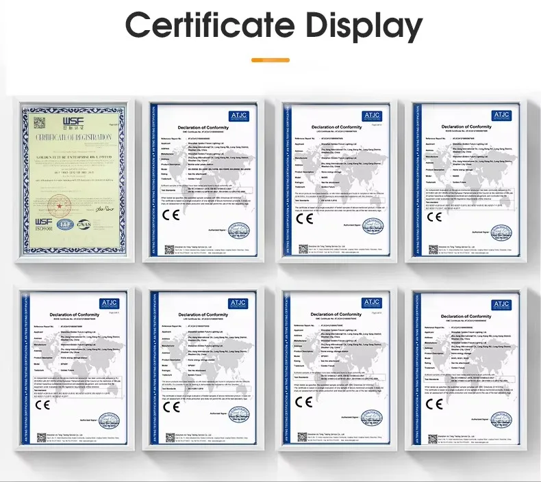 Company overview