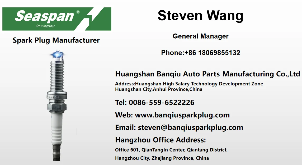 V Power Auto Parts Spark Plug BP6REY BERU 14-6DPO WR7DC for Crown Skoda Passat 2.0L