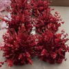 Red 14