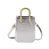 B310 silver