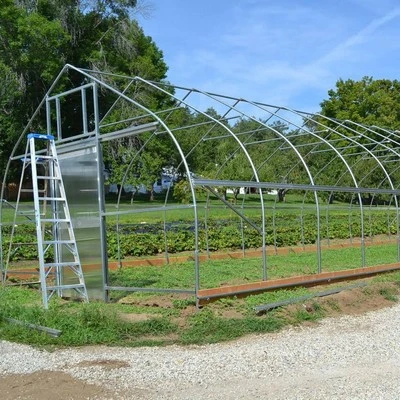 TSX  Green House Green Single-span Greenhouse For Vegetables Low Cost 8x30m Green House Frame