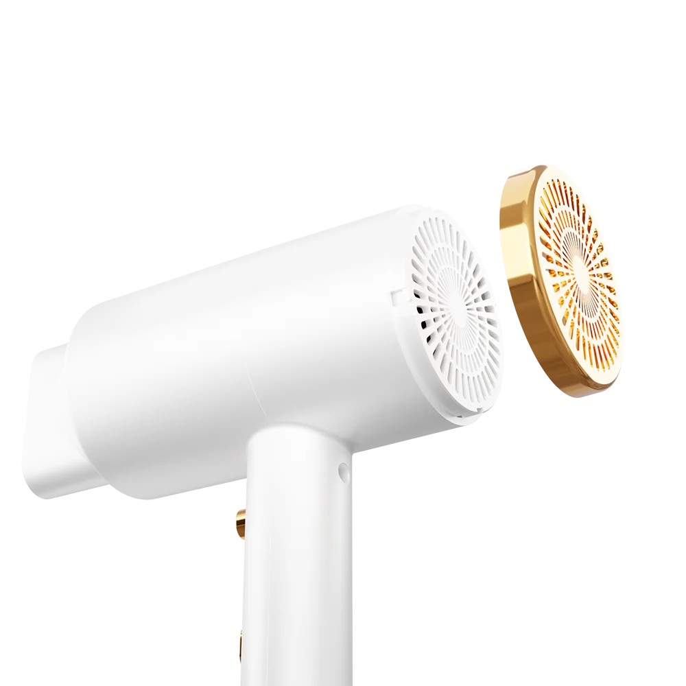 5 in 1 Hand Rechargeable Salon Professional Ionic Hair Dryer for  Brush for Household & Hotel Use