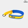 Blue-Yellow