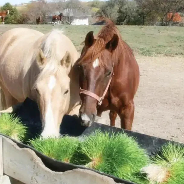 fodder system