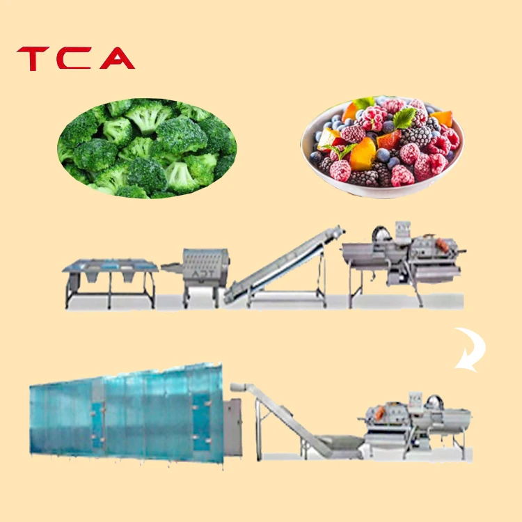 TCA Frozen Vegetable Production Line Iqf Fruits and Vegetables Line for Cucumbers Tomatoes and Snow Peas