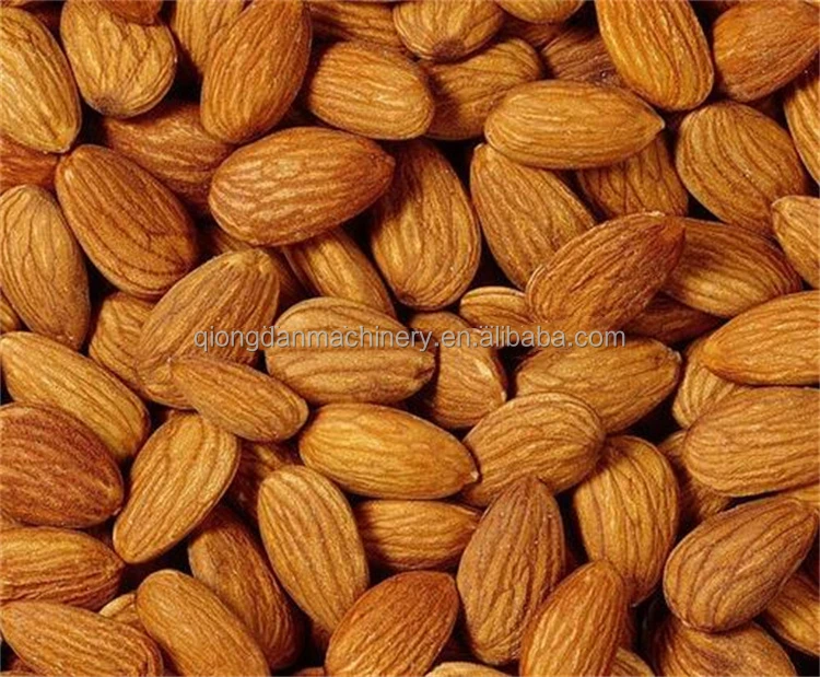 Large Scale Almond Hazelnut Shell Separating Machine Automatic Walnut Peanut Pecan Cracker Cashew Kernel Peeler Price