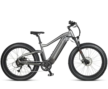 26 Inch AlloyElectric Motorcycle 250W-1000W  Powerful Electric Mountain E Bike MTB Electric Dirt  bicycle