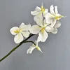 Siente la blancura de la flor Huji.