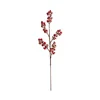 SDCZ27 Melograno rosso glitter dorato