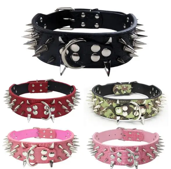 pitbull spiked collar