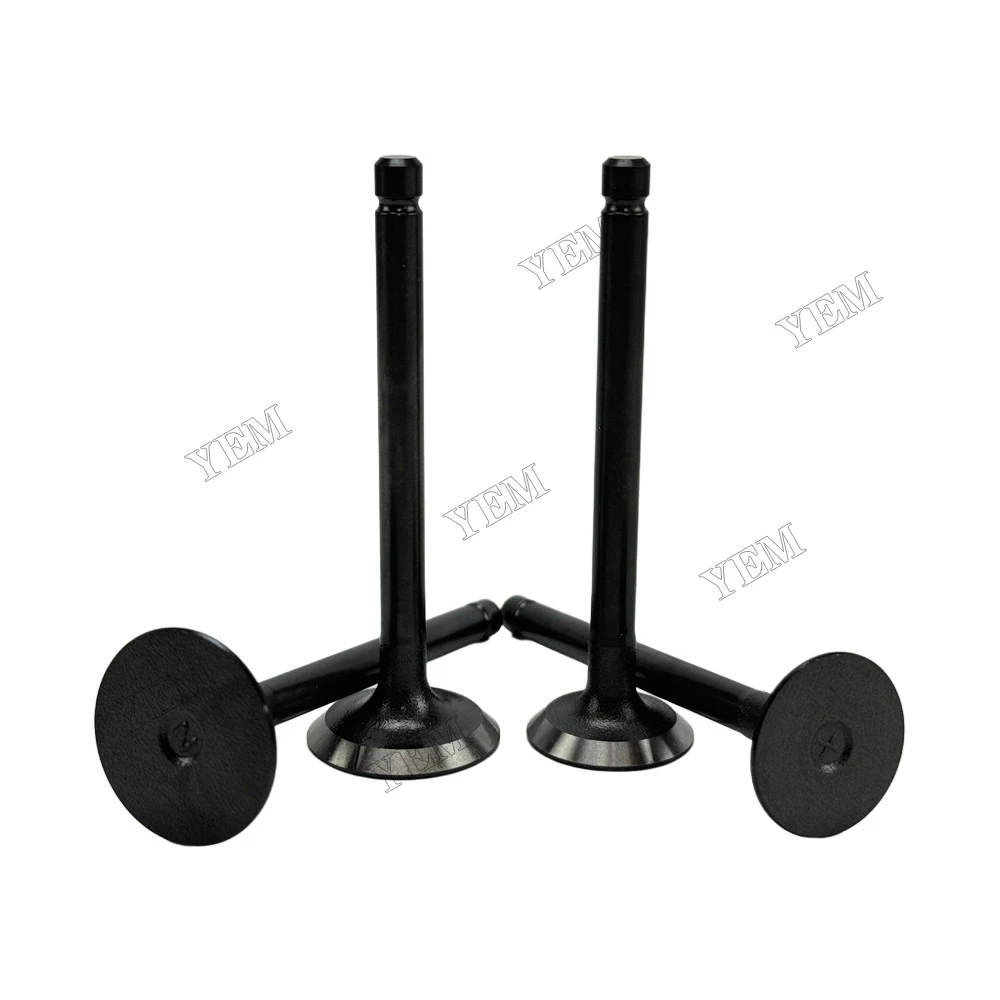 Intake and Exhaust Valve Fit for Kubota Z402 Engine