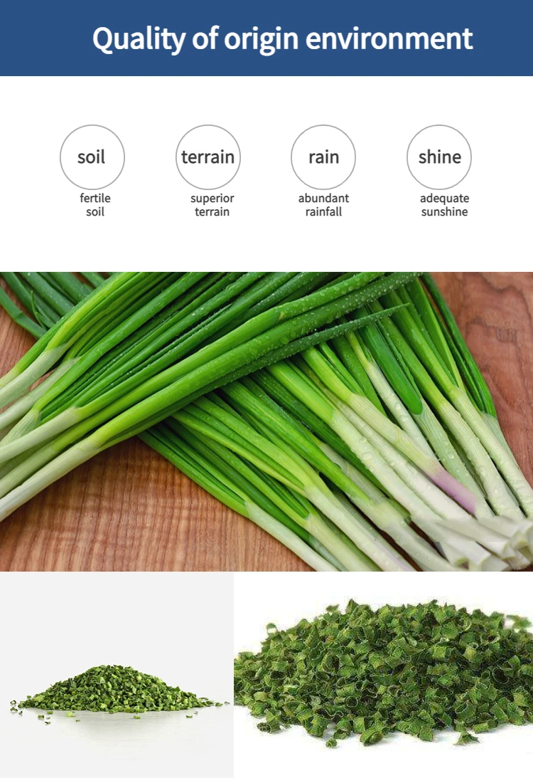 Freeze Dried Vegetable Freeze Dried Shallots Buy Delicious Quick