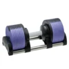 Purple (single)